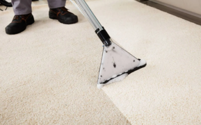 Why 2026 Is the Perfect Time to Get Your Carpets Professionally Cleaned