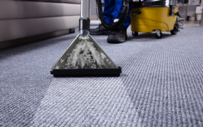 Why Professional Carpet Cleaning Matters More Than You Think