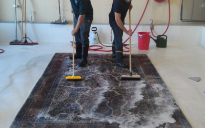 Why Professional Carpet Cleaning Is Essential for a Healthier Home