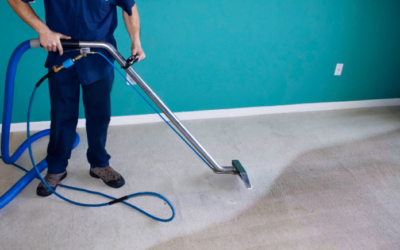 7 Signs It’s Time to Have Your Carpets Professionally Cleaned