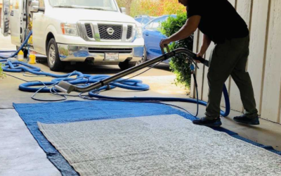 7 Carpet-Stain Mistakes That Can Make the Problem Worse